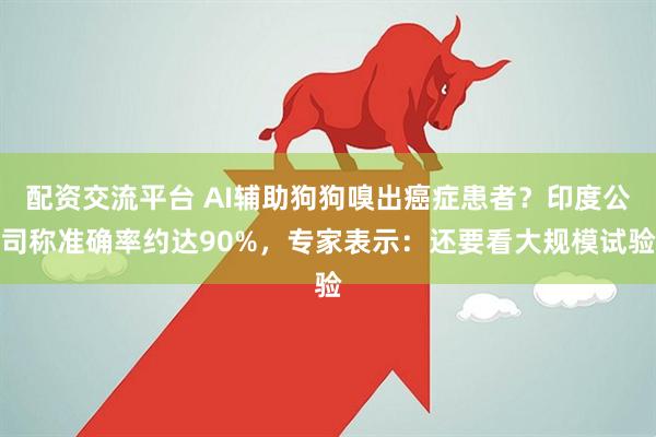 配资交流平台 AI辅助狗狗嗅出癌症患者？印度公司称准确率约达90%，专家表示：还要看大规模试验